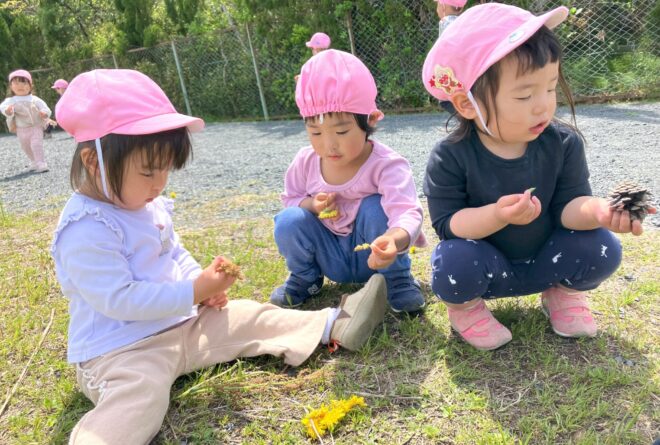 「何見つけたの？」「あっちにタンポポあったよ～」